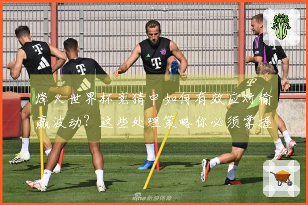 烽火世界杯竞猜中如何有效应对输赢波动？这些处理策略你必须掌握