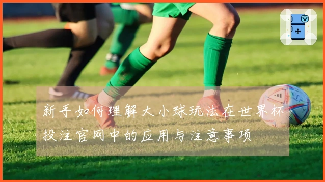 新手如何理解大小球玩法在世界杯投注官网中的应用与注意事项