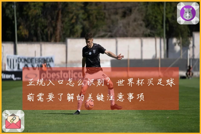 正规入口怎么识别？世界杯买足球前需要了解的关键注意事项