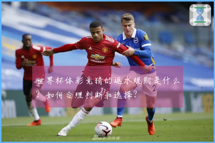 世界杯体彩竞猜的返水规则是什么？如何合理判断和选择？