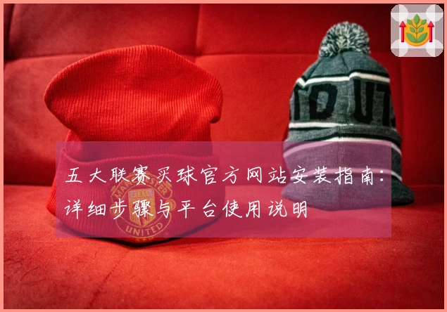 五大联赛买球官方网站安装指南：详细步骤与平台使用说明