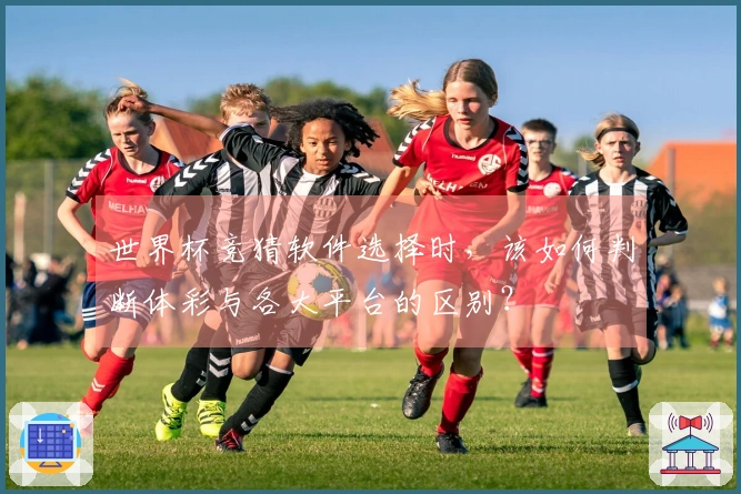世界杯竞猜软件选择时，该如何判断体彩与各大平台的区别？