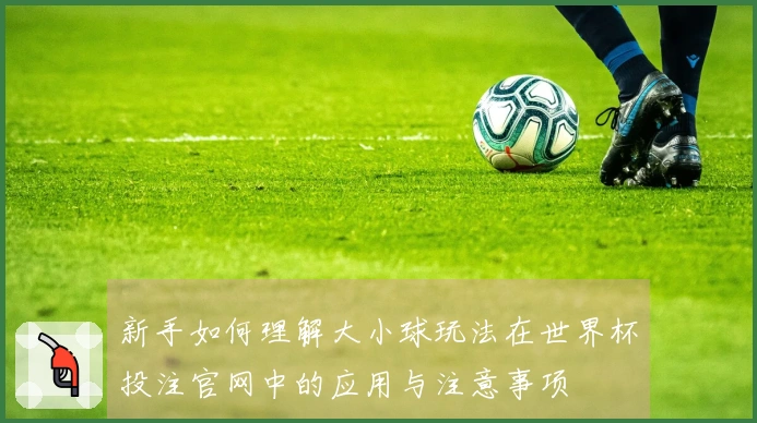 新手如何理解大小球玩法在世界杯投注官网中的应用与注意事项