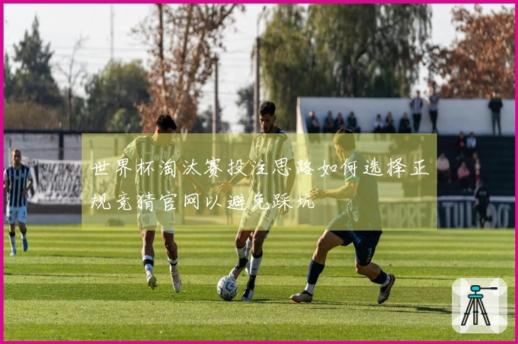 世界杯淘汰赛投注思路如何选择正规竞猜官网以避免踩坑