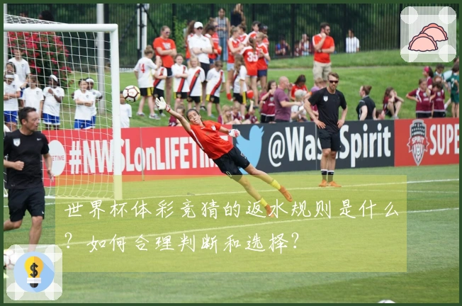 世界杯体彩竞猜的返水规则是什么?如何合理判断和选择?