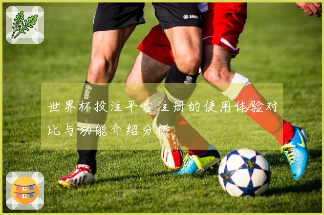 世界杯投注平台注册的使用体验对比与功能介绍分析